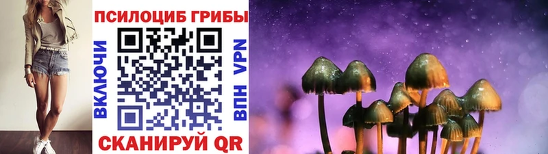Галлюциногенные грибы Psilocybine cubensis  Демидов 