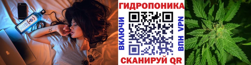 Бошки Шишки марихуана  где купить   Демидов 